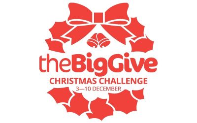 The BigGive