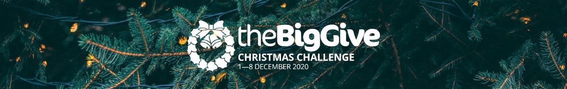 Big Give Christmas Challenge